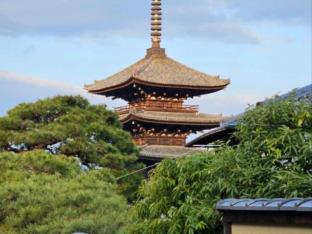 Wonders @Kiyomizu-dera 清水寺 