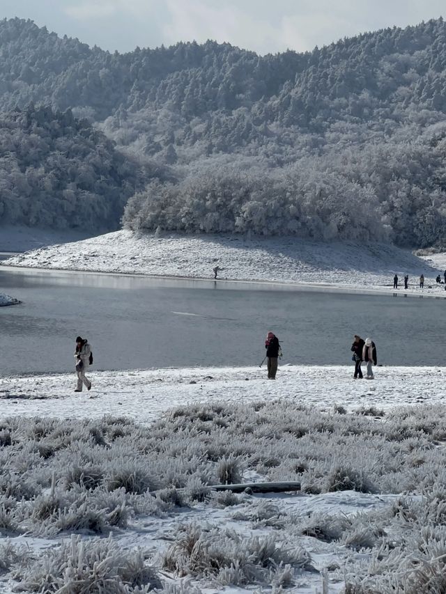 唔使去北海道，喺安吉一樣得！江南天池山腳下嘅冬日童話小屋❄️