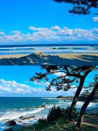 韓國浦項