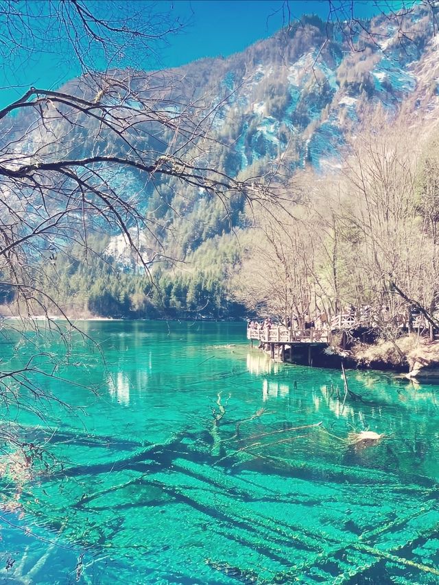 一次難忘的四川之旅等待您的加入。