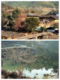 探秘福建隱秘瑰寶：石橋古村落土樓之旅