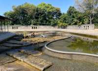 探索名古屋白鳥庭園｜欣賞自然之美