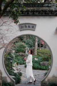 上海梅花季一定要去這個古典園林賞花還免費!!