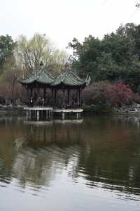 成都棠湖公園｜海棠花即將迎來最佳觀賞期！