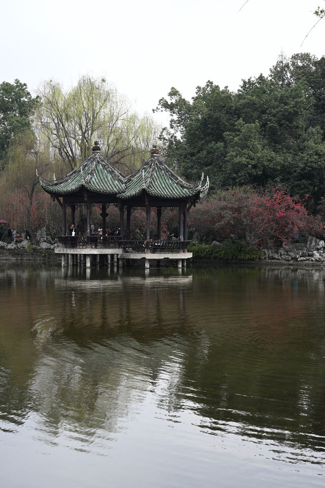 成都棠湖公園｜海棠花即將迎來最佳觀賞期！
