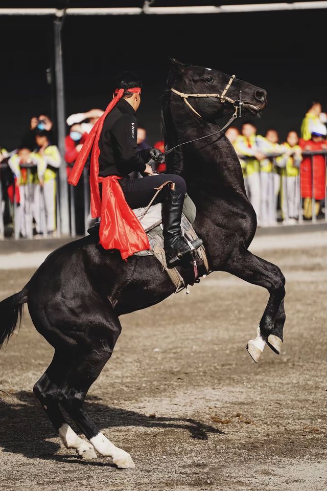 太激動!太熱血沸騰了!家人們,去烏魯木齊一定要去這個地方! 太激動!太熱血沸騰了!家人們,去烏魯木齊一定要去這個地方!