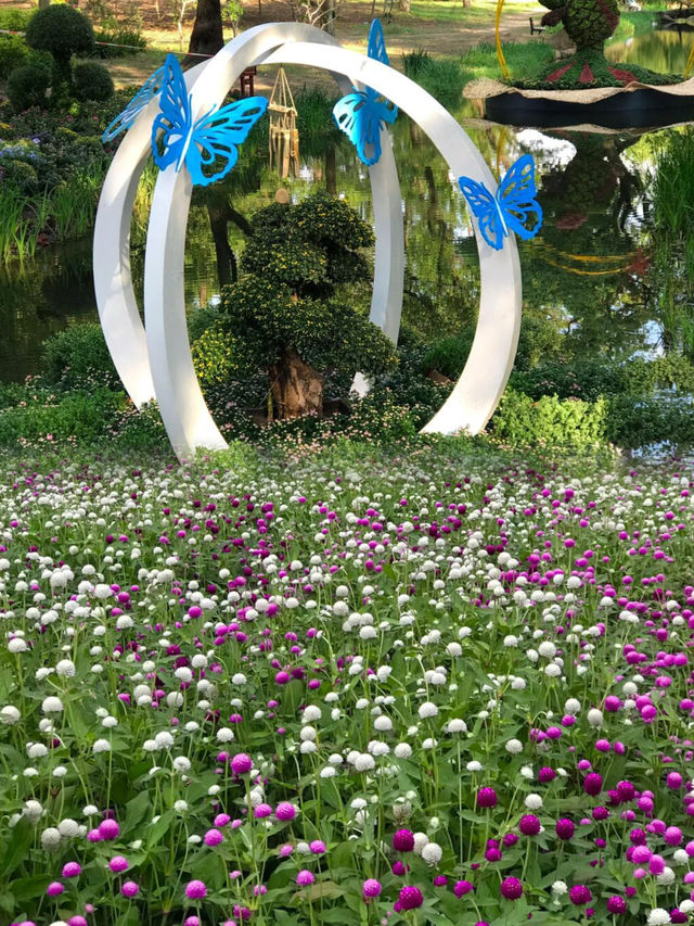 比起西湖，我更喜歡這個油畫般的莫奈花園