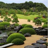 被我找到啦✨日本最美庭院——足立美術館