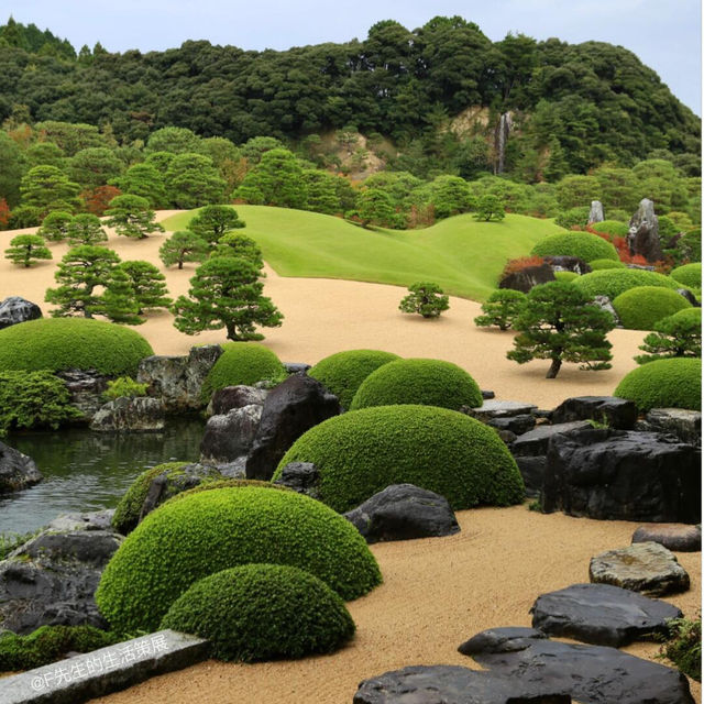 被我找到啦✨日本最美庭院——足立美術館