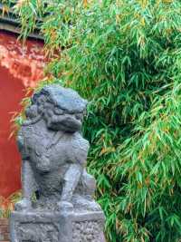 運城｜鹽湖畔的古韻秘境