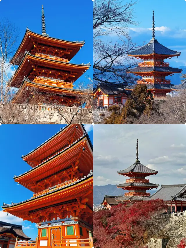 전 세계 독점! 교토 단풍놀이 4대 비법, 출사 성공률 100%