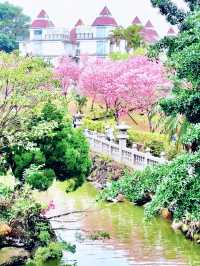 【新北林口竹林山觀音寺】寺廟遊也能超美的！
