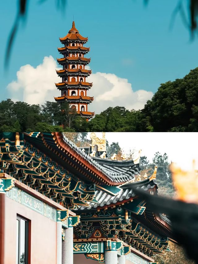 婁底之旅已結束，分享一些真實感受。