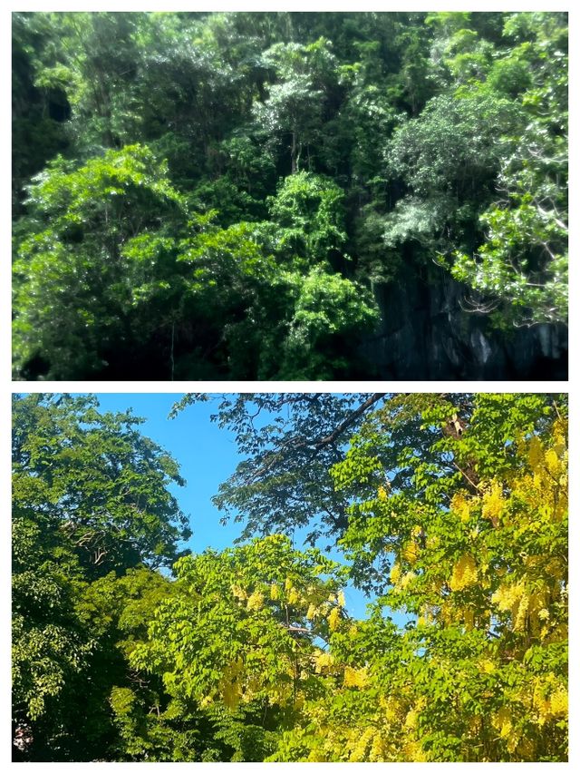 探索菲律賓帕西市：一趟說走就走的旅程
