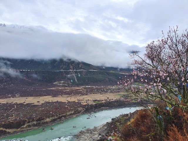 雅魯藏布林芝誤入藏地桃花源，邂逅春日限定浪漫