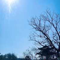 義烏雲黃禪寺/超適合放空自己的寶藏地方