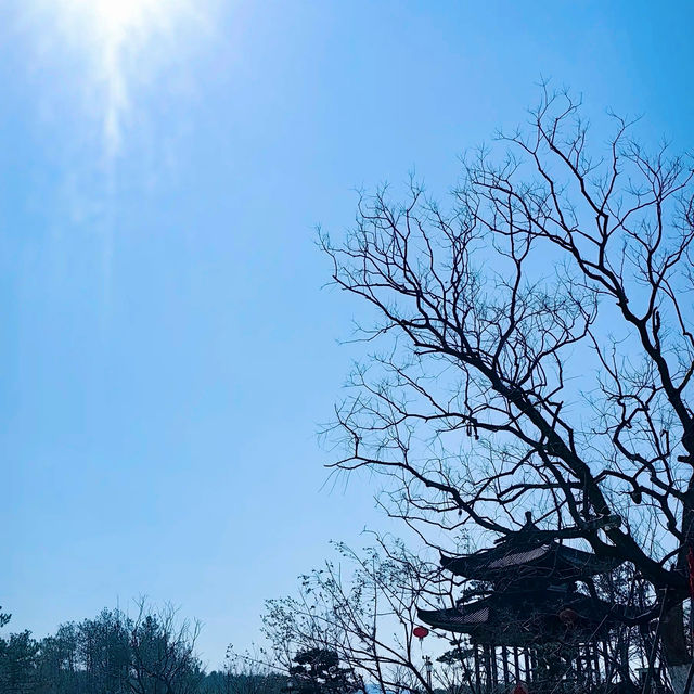 義烏雲黃禪寺/超適合放空自己的寶藏地方