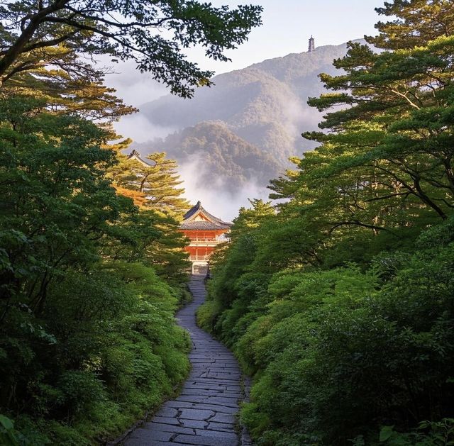 熊野古道：尾鷲市的古韻探秘之旅攻略