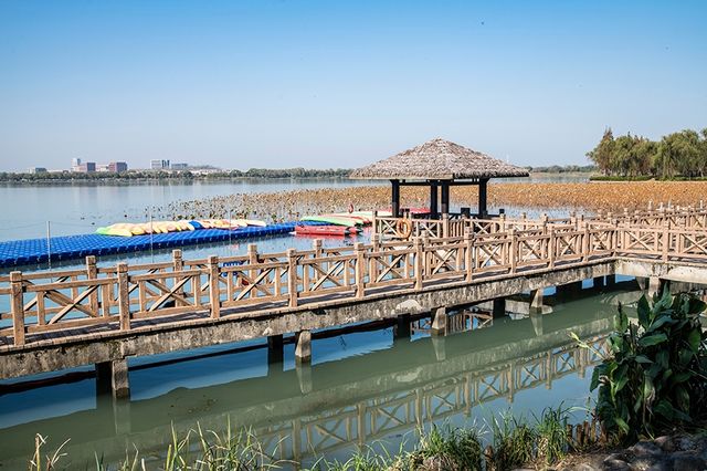 青西郊野公園之大蓮湖