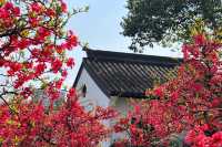 莫愁湖公園