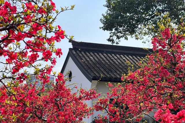 莫愁湖公園