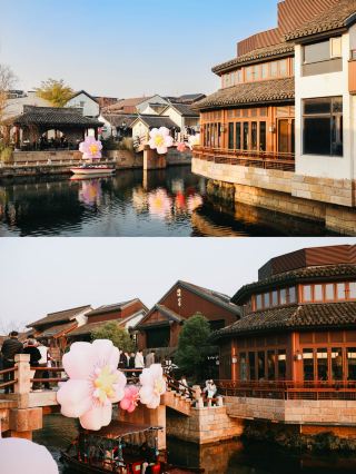 You have no idea how romantic Shanghai is in March! Here's a guide:
