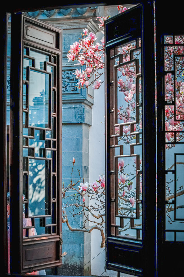 三月耦園打卡玉蘭花