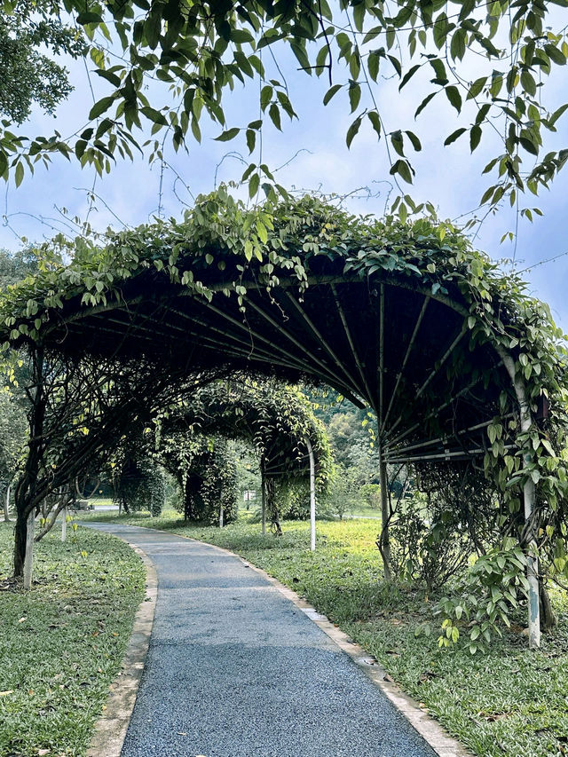 東莞植物園 帶你認識從未見過的各種各樣植物新生命