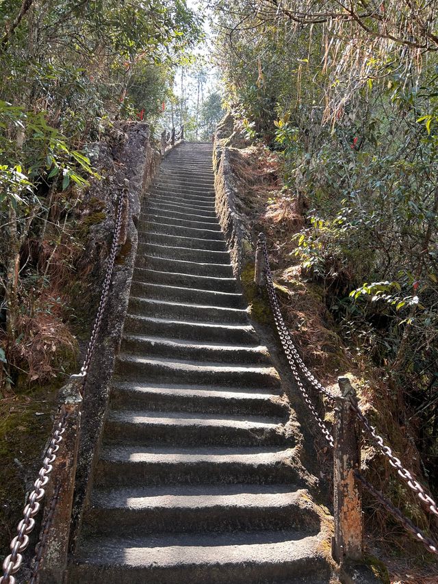 隨州雲峰山——藏喺山霧入面嘅綠野仙蹤