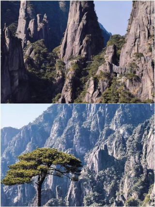 Back from Sanqingshan with Some Hard Truths to Share