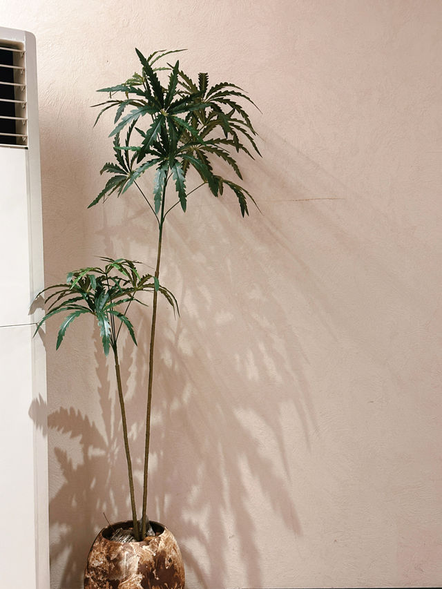 入住油菜花田旁邊：東江湖拾間美宿的春日奇遇