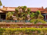 Imperial Gardens of China: A Glimpse into Nature and Harmony