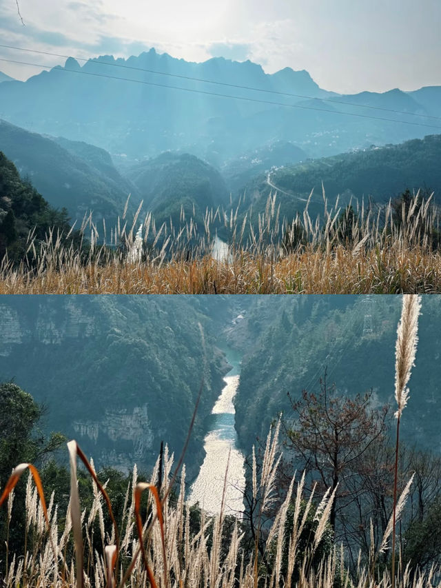 驚！宜昌竟藏著一座「小狗山」，模樣超萌