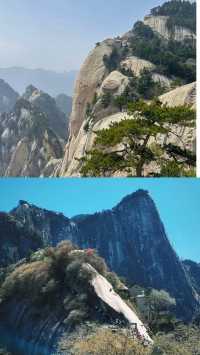 華山你把我拿捏住了
