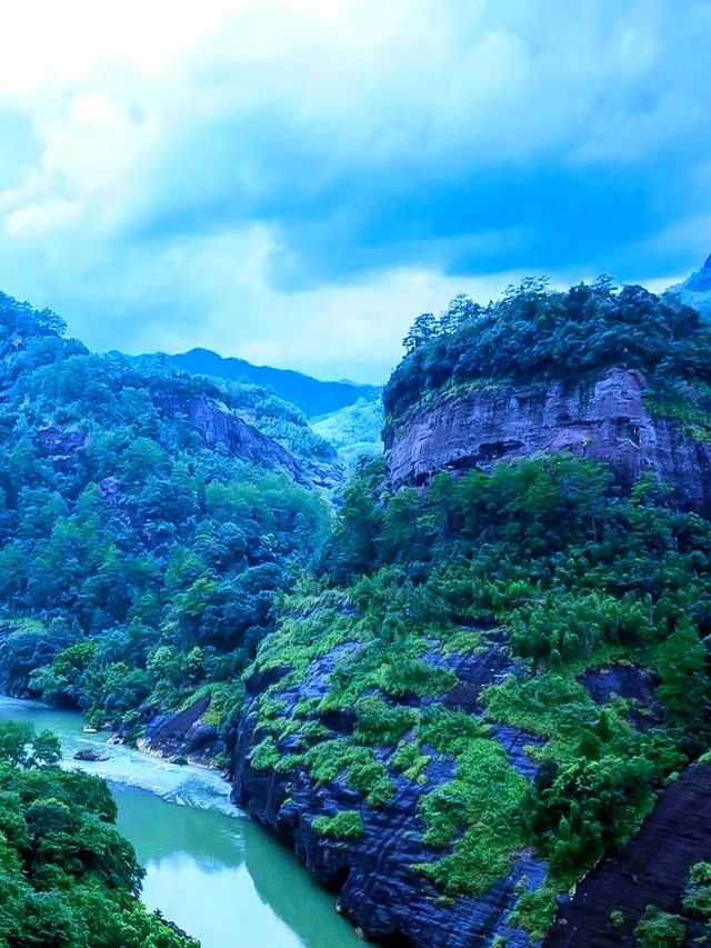 福建武夷山慳錢旅遊及避坑攻略