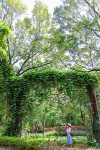 人少好拍在廣州我想去無數次的寶藏公園