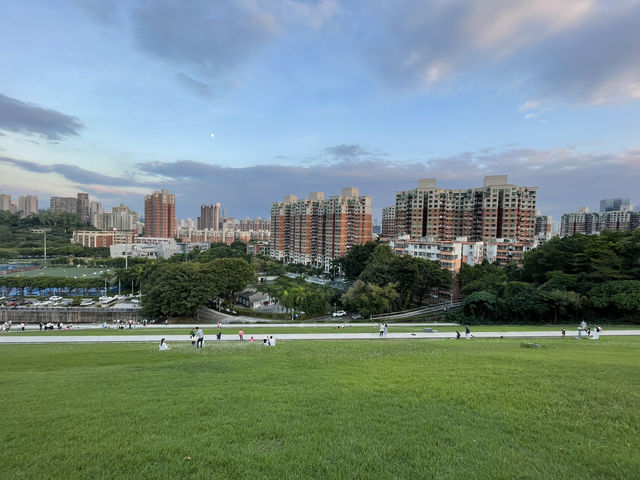 深圳梅林水庫 | 都市裡的綠野仙蹤🌳