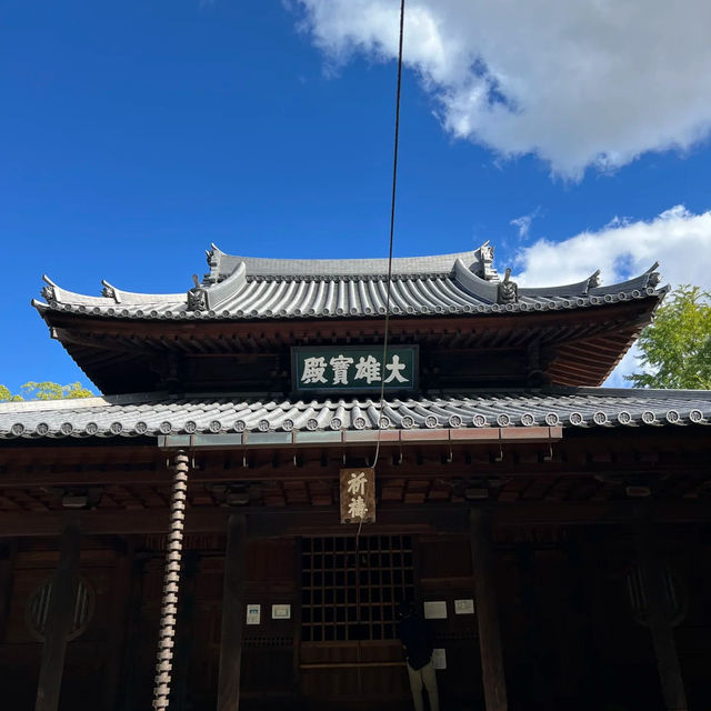 🌿【福岡聖福寺｜鬧市中靜藏千年的唐宋遺風】