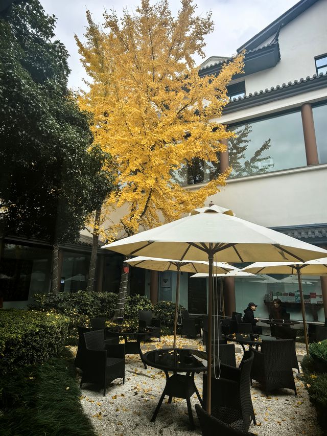 蘇州酒店中的蘭博基尼五一度假必住