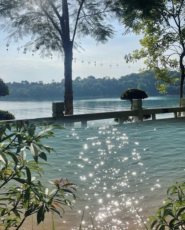 奔赴河源萬綠湖，縱享湖光山色的狂歡