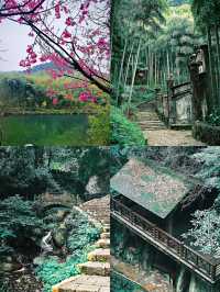 人生建議：4-6月一定要去一次莫干山