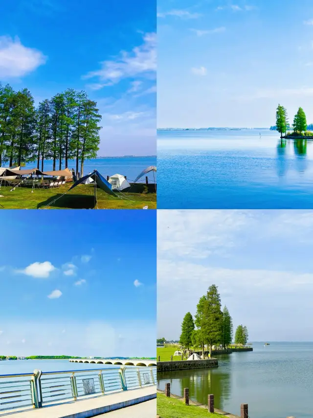 Is this Erhai Lake? This is the suburbs of Shanghai