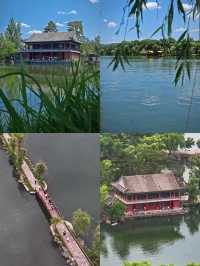 夏天好去處