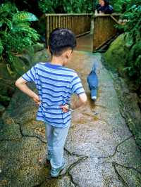 新加坡動物園會懲罰每一個唔做攻略嘅人