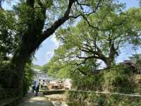 芹川古村
