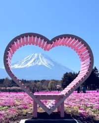 富士山下｜富士芝櫻祭全攻略