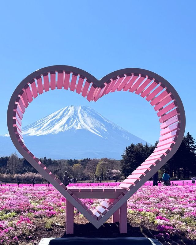 富士山下｜富士芝櫻祭全攻略