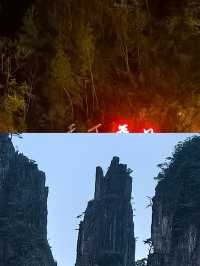 宜章受罪已回，實話拒噴