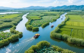 Baiyang Lake: Deep in the Reed Marshes of Northern China
