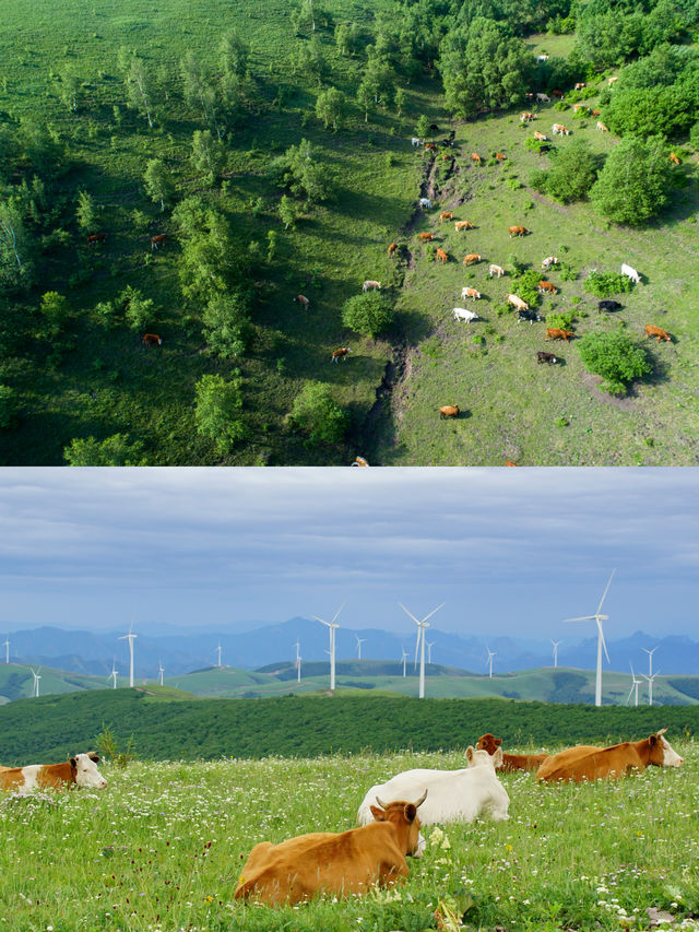 端午旅遊推薦，北京出發3H絕佳嘅避暑勝地